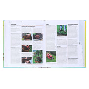 RHS Gardening Through the Year: Month-By-Month Planning Instructions and Inspiration By Ian Spence - Non Fiction - Hardback Non-Fiction DK