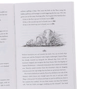 Adventure Gamebooks Series Illustrated 6 Books Collection Set - Ages 9+ - Paperback 9-14 Usborne Publishing Ltd