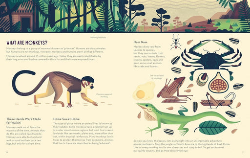 Mad About Monkeys by Owen Davey (About Animals Series) - Ages 7+ - Paperback 7-9 Flying Eye Books
