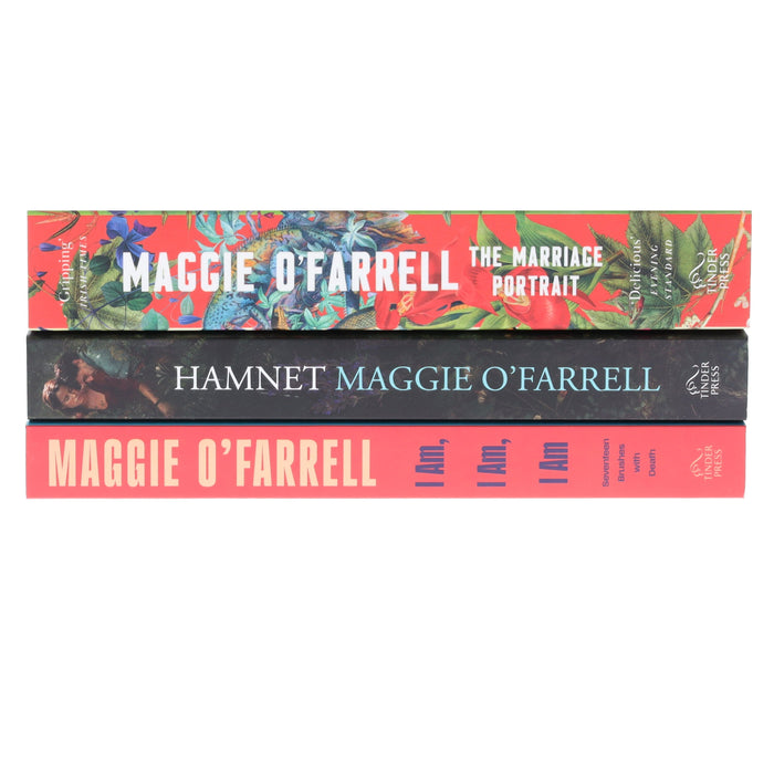 Maggie O'Farrell Novel 3 Books Collection Set - Fiction - Paperback Fiction Hachette