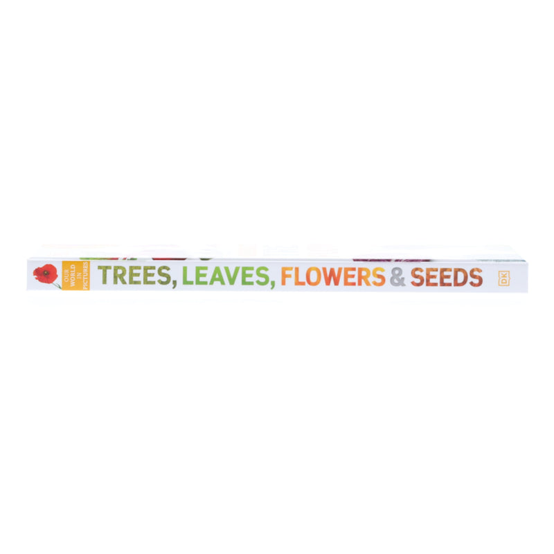 Our World in Pictures: Trees, Leaves, Flowers & Seeds: A visual encyclopedia of the plant kingdom by DK - Non Fiction - Hardback 9-14 DK Children