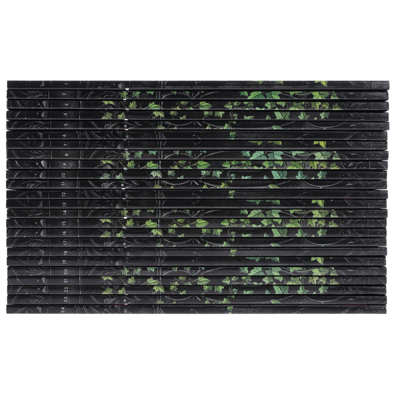 Disney: Advent Calendar Twisted Tales With 24 Books Box Set Including Twisted Story Content - Ages 12-16 - Paperback Young Adult Autumn Publishing