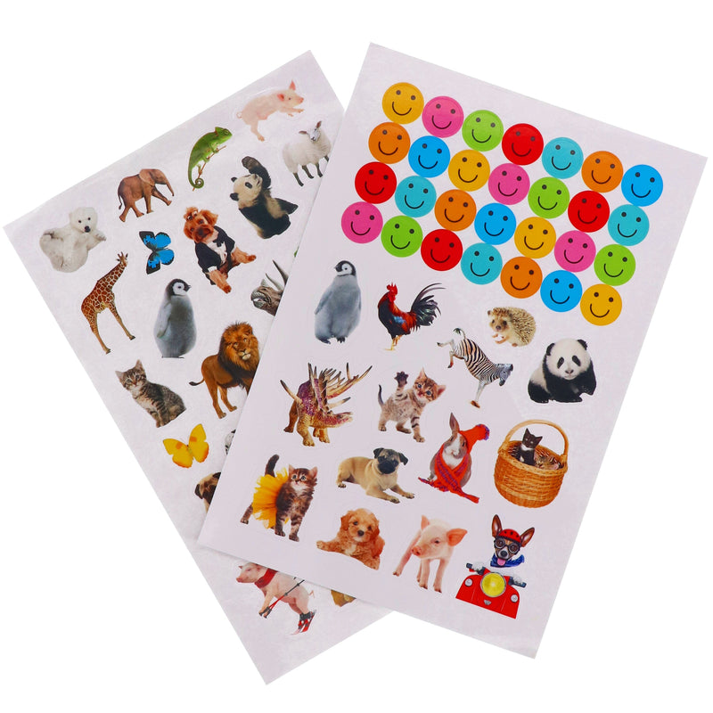 Amazing Animals By Make Believe Ideas 10 Readers Box Set - Ages 4+ - Paperback 5-7 Make Believe Ideas