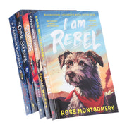 Ross Montgomery 5 Books Collection Set - Ages 9-12 - Paperback 9-14 Walker Books Ltd
