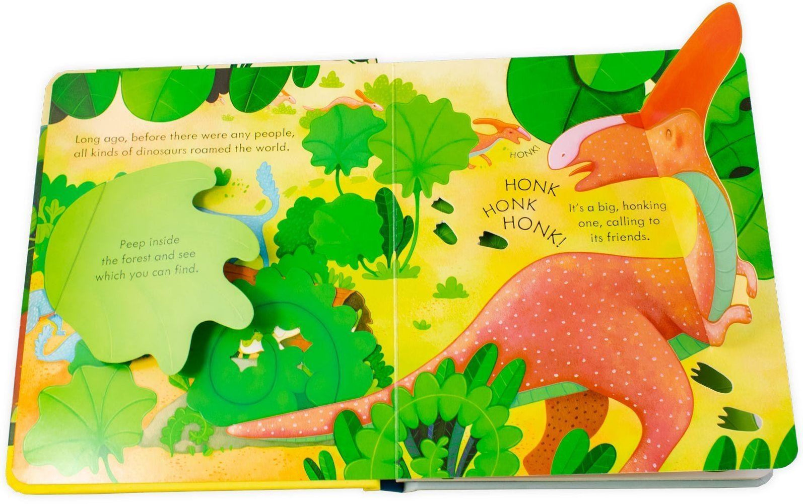 Peep Inside Complete by Usborne — Books2Door