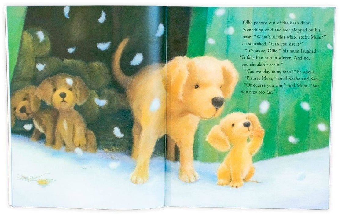 Santa's House 20 Book Set - Ages 0-5 - Paperback 0-5 Little Tiger Press