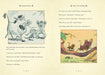 The Lion King (Disney Animated Classics) - Ages 5-7 - Hardback - Justine Korman 5-7 Studio Press