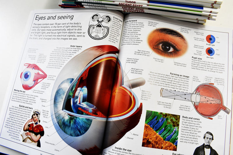 Dk Eyewitness Collection 16 books - Ages 7-9 - Paperback Set 7-9 DK Children