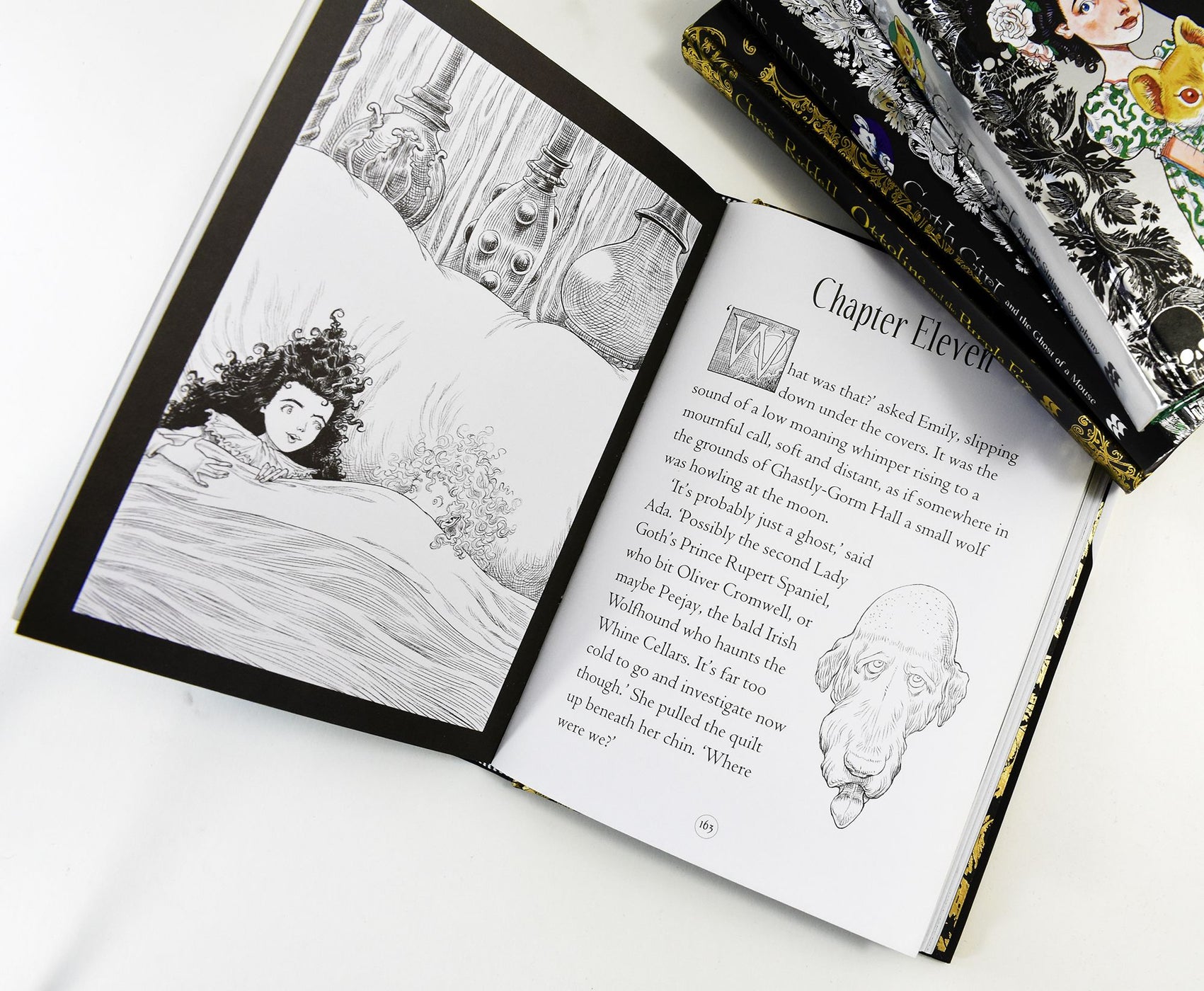 Chris Riddell Goth Girl Collection 4 Books Set - Age 9-14 - Paperback - Chris Riddel ...