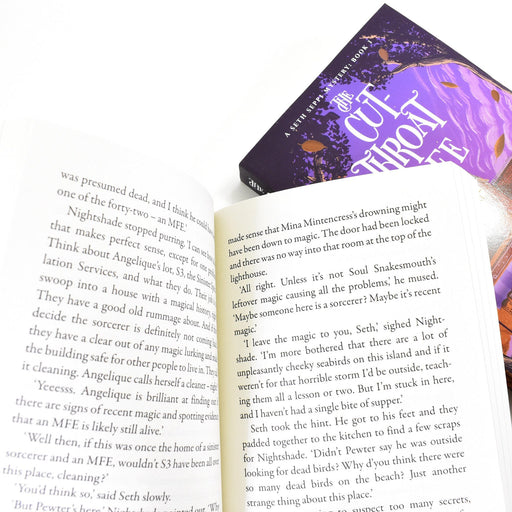 Nick Thornton Seth Seppi Mystery 3 Books Collection– Ages 9-14 – Paperback 9-14 Chicken House