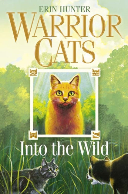 Into the Wild by Erin Hunter Extended Range HarperCollins Publishers
