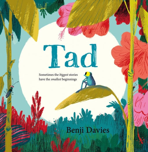 Tad by Benji Davies Extended Range HarperCollins Publishers