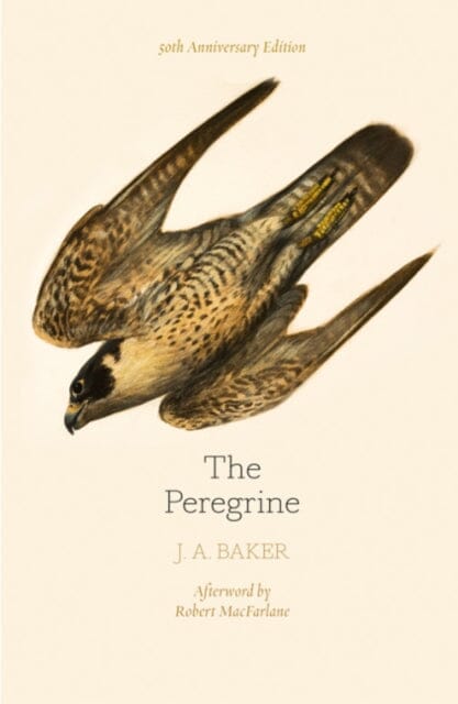 The Peregrine: 50th Anniversary Edition by J. A. Baker Extended Range HarperCollins Publishers