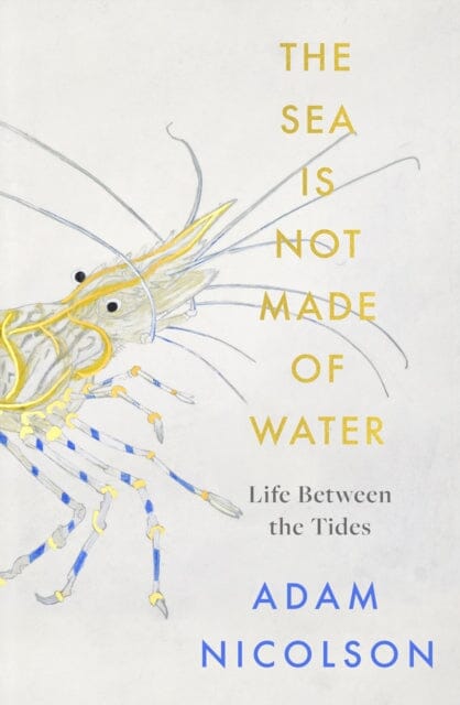 the sea is not made of water: Life Between the Tides by Adam Nicolson Extended Range HarperCollins Publishers
