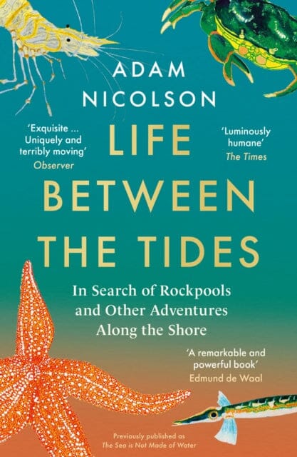 Life Between the Tides: In Search of Rockpools and Other Adventures Along the Shore by Adam Nicolson Extended Range HarperCollins Publishers