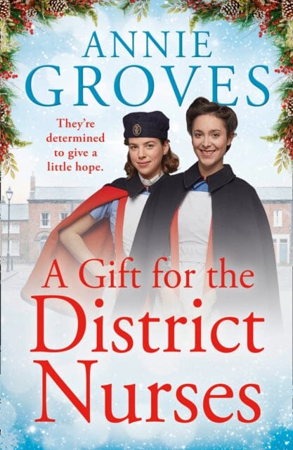 A Gift for the District Nurses by Annie Groves Extended Range HarperCollins Publishers