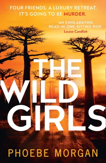 The Wild Girls by Phoebe Morgan Extended Range HarperCollins Publishers