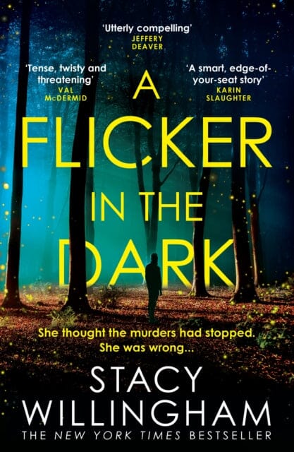 A Flicker in the Dark by Stacy Willingham Extended Range HarperCollins Publishers