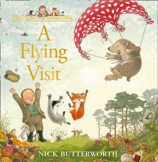A Flying Visit by Nick Butterworth Extended Range HarperCollins Publishers