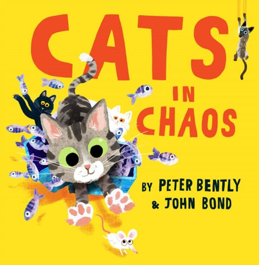 Cats in Chaos by Peter Bently Extended Range HarperCollins Publishers
