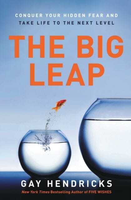 The Big Leap: Conquer Your Hidden Fear and Take Life to the Next Level by Gay Hendricks Extended Range HarperCollins Publishers Inc