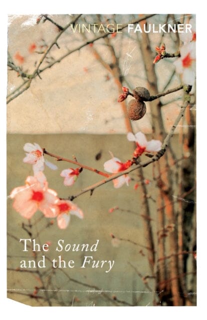 The Sound and the Fury by William Faulkner Extended Range Vintage Publishing