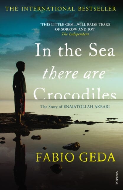 In the Sea There Are Crocodiles by Fabio Geda Extended Range Vintage Publishing