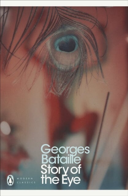 Story of the Eye by Georges Bataille Extended Range Penguin Books Ltd