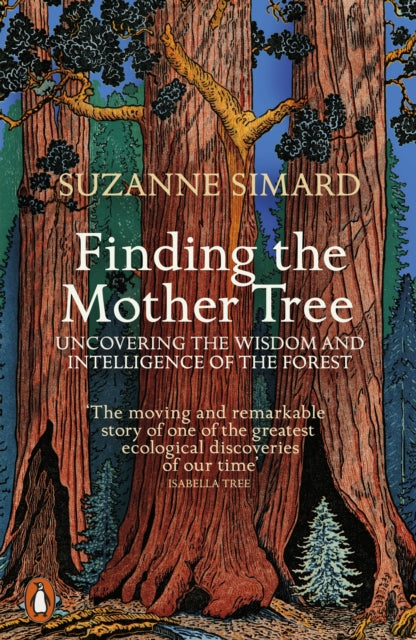 Finding the Mother Tree: Uncovering the Wisdom and Intelligence of the Forest by Suzanne Simard Extended Range Penguin Books Ltd
