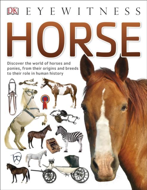Horse Popular Titles Dorling Kindersley Ltd