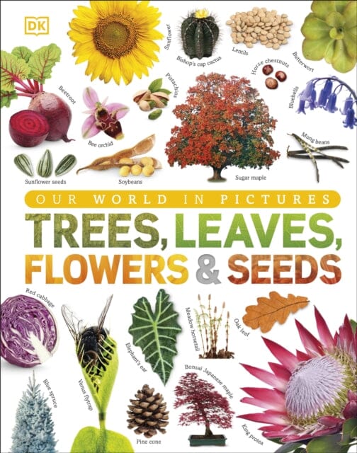 Our World in Pictures: Trees, Leaves, Flowers & Seeds by DK Extended Range Dorling Kindersley Ltd
