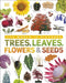 Our World in Pictures: Trees, Leaves, Flowers & Seeds by DK Extended Range Dorling Kindersley Ltd