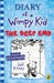 Diary of a Wimpy Kid: The Deep End (Book 15) by Jeff Kinney Extended Range Penguin Random House Children's UK