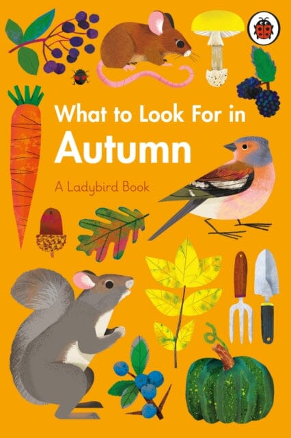 What to Look For in Autumn by Elizabeth Jenner Extended Range Penguin Random House Children's UK