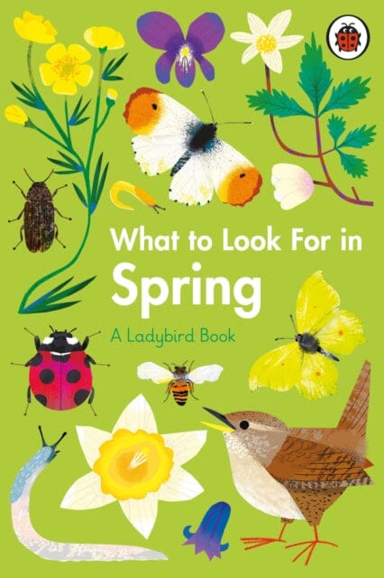 What to Look For in Spring by Elizabeth Jenner Extended Range Penguin Random House Children's UK