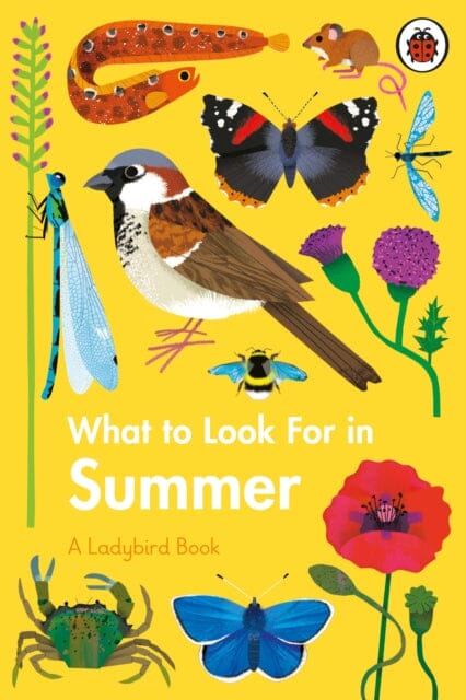 What to Look For in Summer by Elizabeth Jenner Extended Range Penguin Random House Children's UK