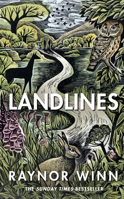 Landlines by Raynor Winn Extended Range Penguin Books Ltd