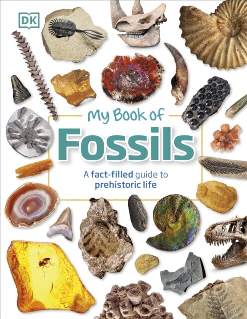 My Book of Fossils: A fact-filled guide to prehistoric life by DK Extended Range Dorling Kindersley Ltd