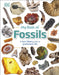 My Book of Fossils: A fact-filled guide to prehistoric life by DK Extended Range Dorling Kindersley Ltd