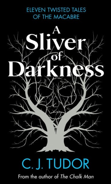 A Sliver of Darkness by C. J. Tudor Extended Range Penguin Books Ltd