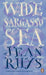 Wide Sargasso Sea by Jean Rhys Extended Range Penguin Books Ltd