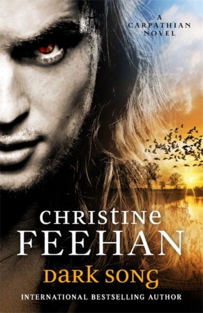Dark Song by Christine Feehan Extended Range Little Brown Book Group
