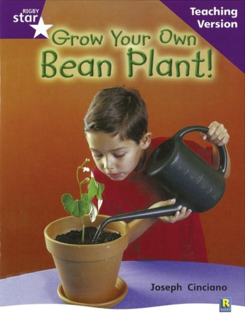 Rigby Star Non-fiction Guided Reading Purple Level: Grow your own bean Teaching Version Popular Titles Pearson Education Limited