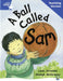 Rigby Star Guided Reading Blue Level: A Ball Called Sam Teaching Version Popular Titles Pearson Education Limited
