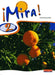 Mira 2 Pupil Book Popular Titles Pearson Education Limited
