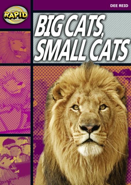Rapid Reading: Big Cats Small Cats (Stage 1, Level 1A) Popular Titles Pearson Education Limited
