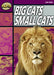 Rapid Reading: Big Cats Small Cats (Stage 1, Level 1A) Popular Titles Pearson Education Limited