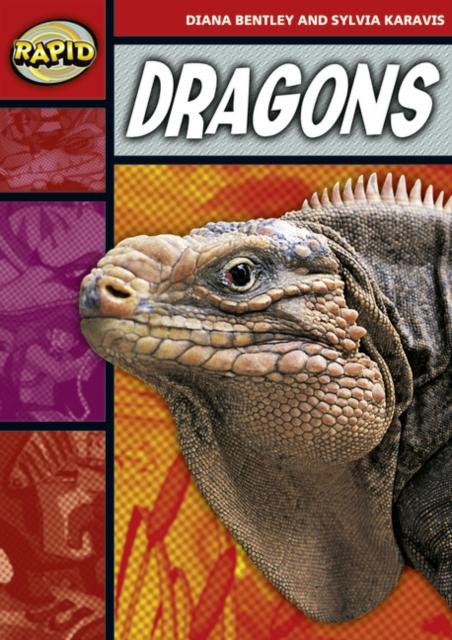 Rapid Reading: Dragons (Stage 2, Level 2B) Popular Titles Pearson Education Limited