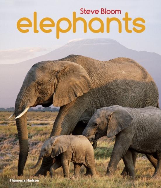 Elephants Popular Titles Thames & Hudson Ltd
