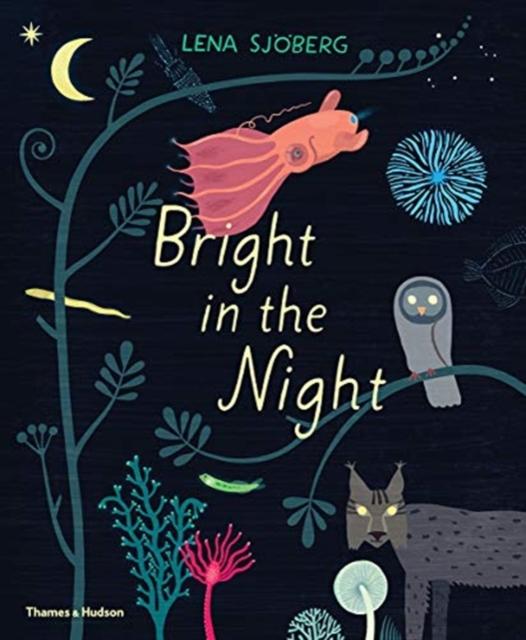 Bright in the Night Popular Titles Thames & Hudson Ltd